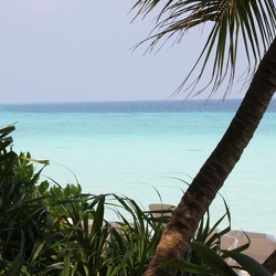 2011/1 Malediwy