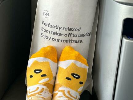 WhatsApp Image 2026-01-14 at 18.29.1045